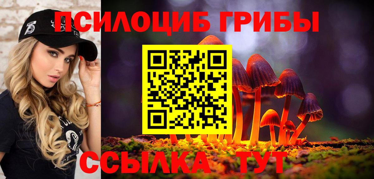 Галлюциногенные грибы MAGIC MUSHROOMS  Псилоцибиновые грибы мухоморы  Тюмень  Вход с VPN 